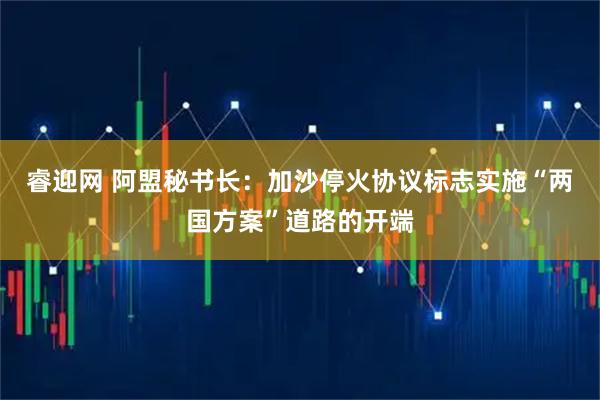 睿迎网 阿盟秘书长：加沙停火协议标志实施“两国方案”道路的开端