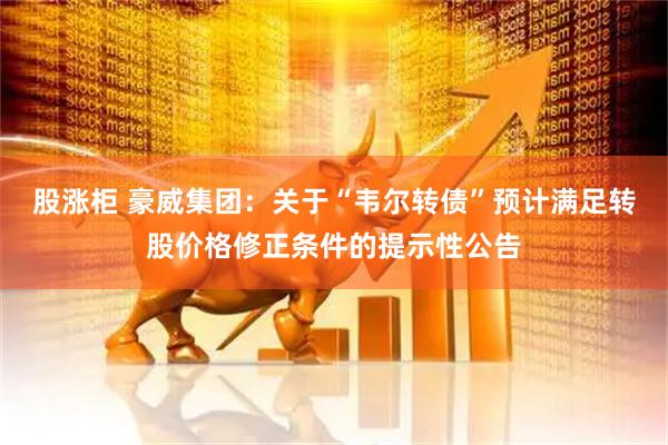 股涨柜 豪威集团：关于“韦尔转债”预计满足转股价格修正条件的提示性公告