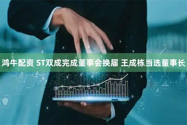鸿牛配资 ST双成完成董事会换届 王成栋当选董事长