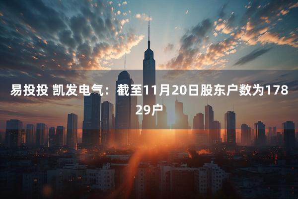 易投投 凯发电气：截至11月20日股东户数为17829户