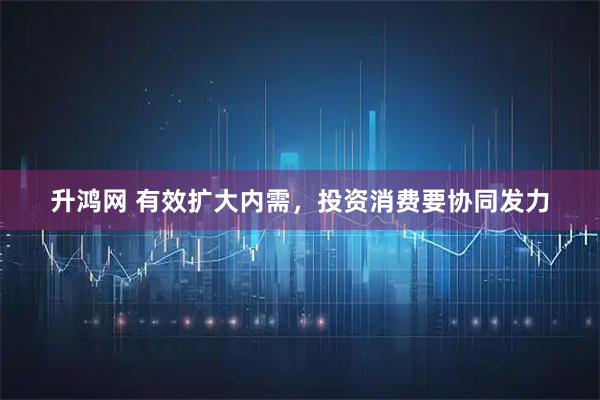 升鸿网 有效扩大内需，投资消费要协同发力