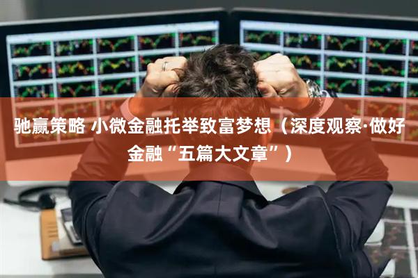 驰赢策略 小微金融托举致富梦想（深度观察·做好金融“五篇大文章”）